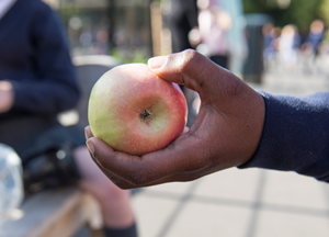 SELA apple in hand image